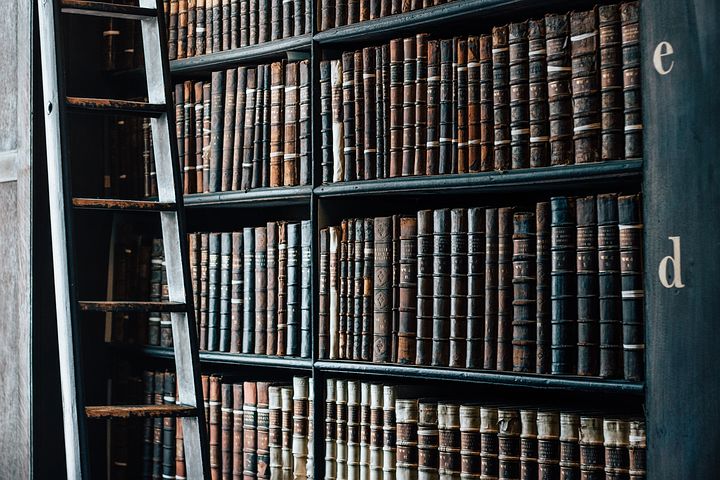 bookshelf 1082309 480