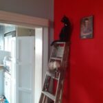 ediy 23 (10)