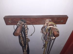 ediy 30 (2)