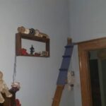 ediy 33 (4)