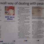 ediy in weekend post (12)