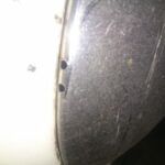 ediy 46 (4)
