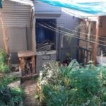 ediy 53 (2)