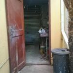 ediy 63 (1)